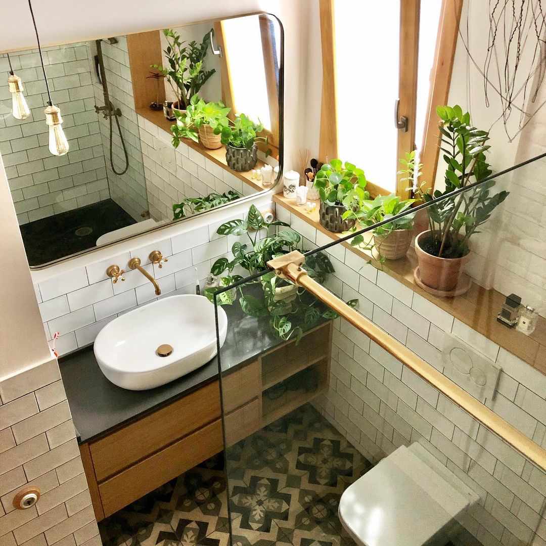 Plusieurs plantes d'intérieur dans une salle de bain