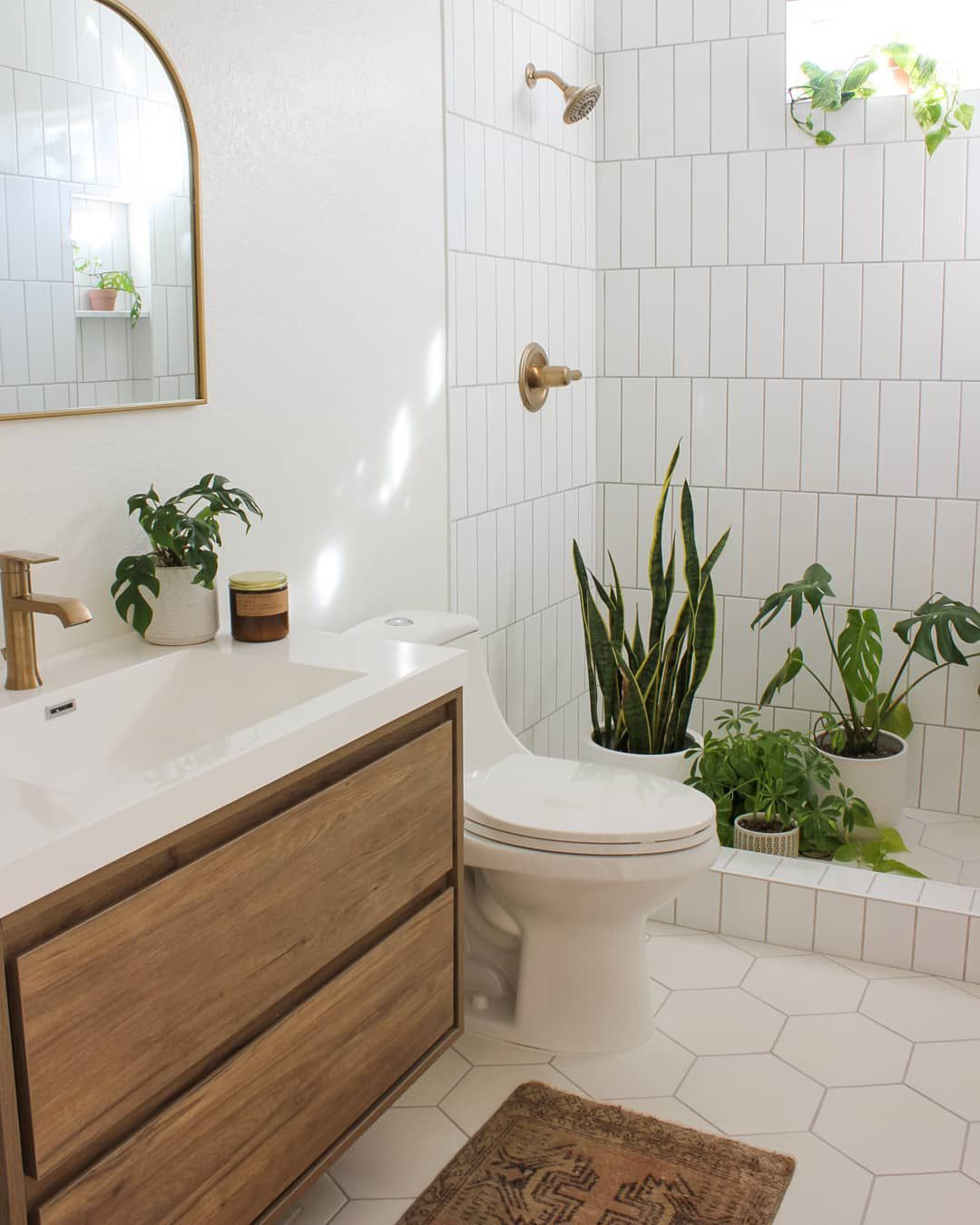 petite salle de bain avec plantes dans la douche